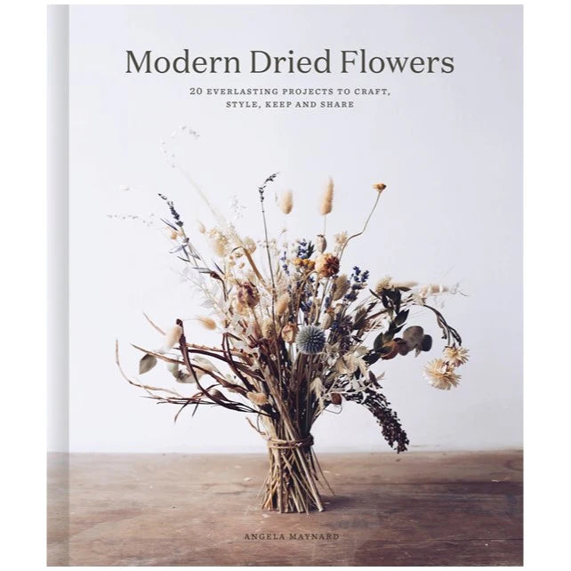 MODERN DRIED FLOWERS